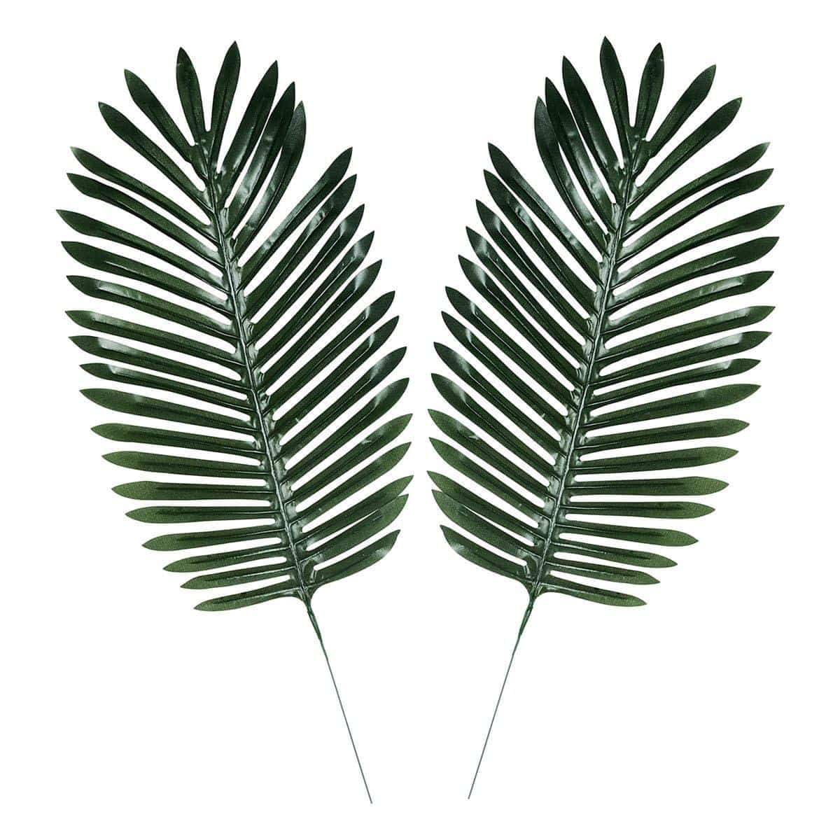 Buy Theme Party Palm Leaves, 2 Count sold at Party Expert