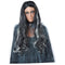 Buy Costume Accessories Black & gray bloody mary wig for women sold at Party Expert