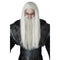 Buy Costume Accessories White & gray dark wizard wig for men sold at Party Expert