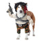 Buy Costumes Action Hero Costume for Dogs sold at Party Expert