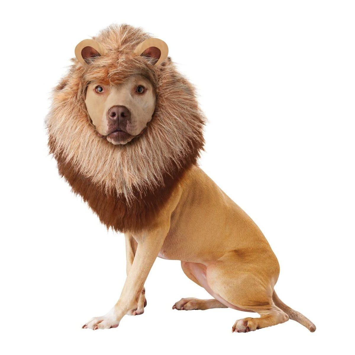 Buy Costumes Lion Costume for Dogs sold at Party Expert