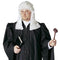 Buy Costume Accessories Judge wig for men sold at Party Expert