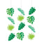 Buy 1st Birthday Safari Animals String Decoration, 3 Count sold at Party Expert
