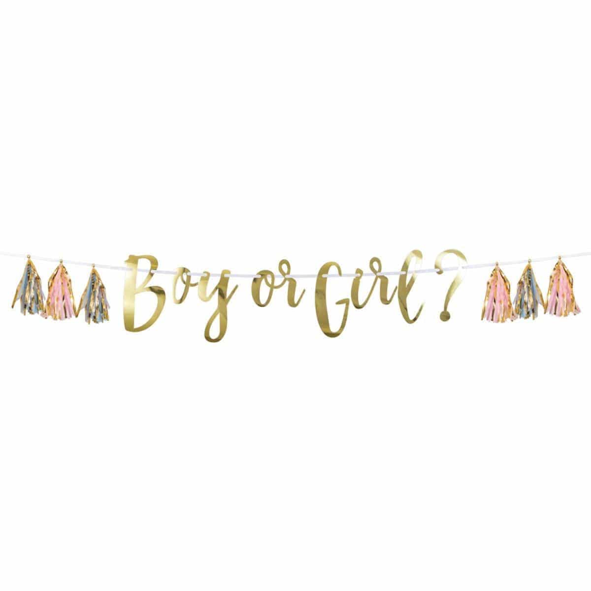 Buy Baby Shower Boy Or Girl? Banner With Tassel sold at Party Expert