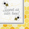 CREATIVE CONVERTING Baby Shower Bumblebee Baby "Sweet as Can Bee!" Lunch Napkins, 16 Count