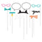 Buy Kids Birthday Purr-fect Party photo booth props, 10 per package sold at Party Expert