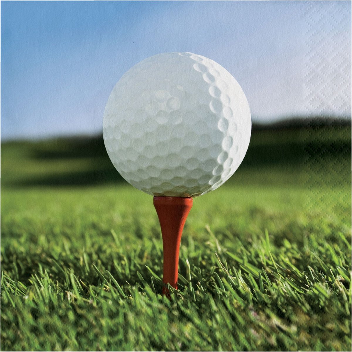 CREATIVE CONVERTING Theme Party Golf Large Lunch Napkins, 16 Count 039938123758