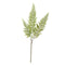 Buy Balloons Green Lace Fern Spray Leaf sold at Party Expert