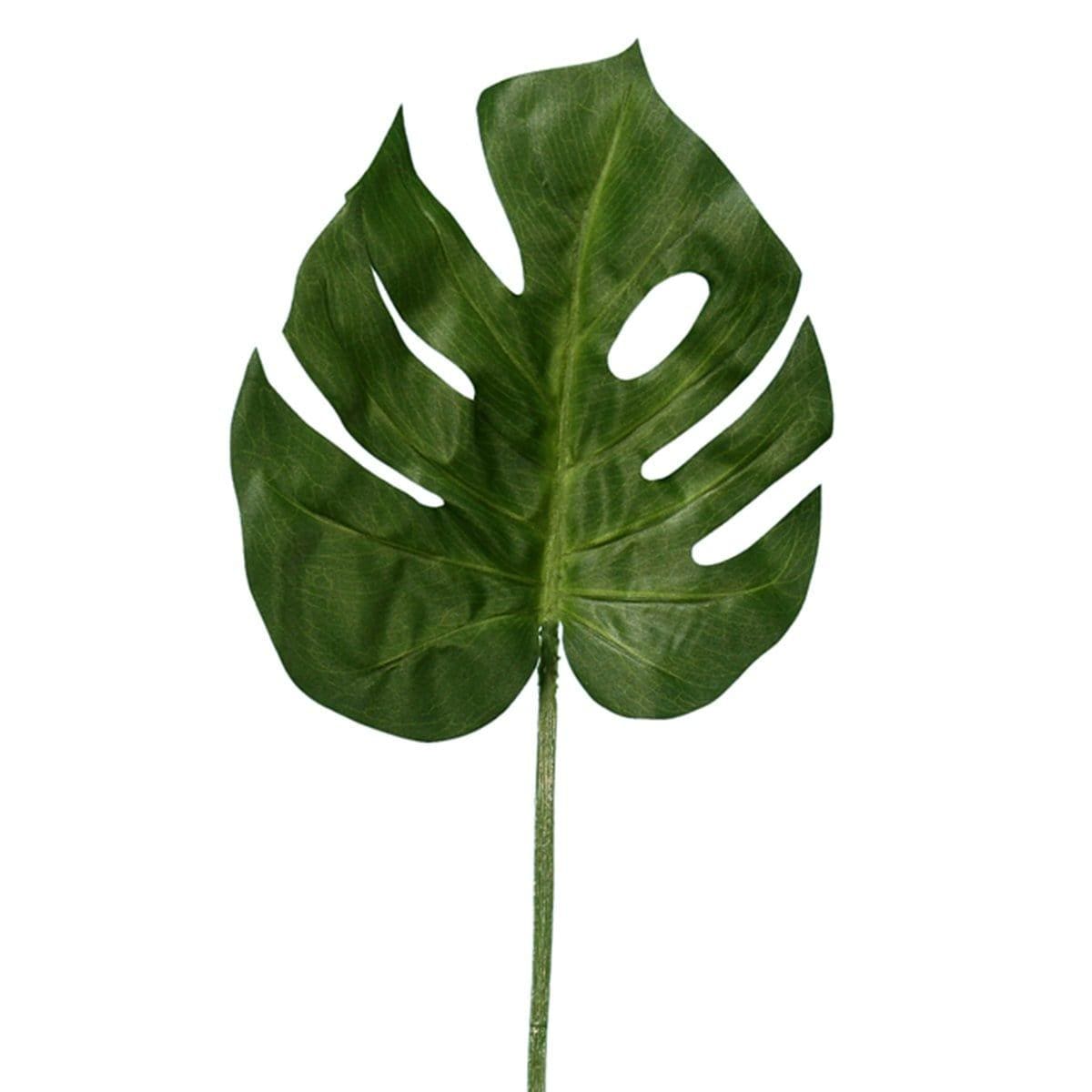 Buy Theme Party Green Large Leaf sold at Party Expert