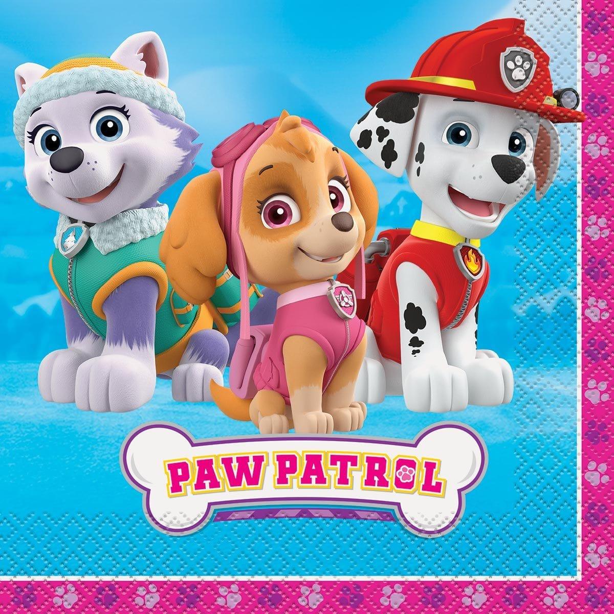 Buy Kids Birthday Paw Patrol Girl lunch napkins, 16 per package sold at Party Expert