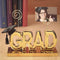 Buy Graduation Grad Clip Picture Holder - Gold sold at Party Expert