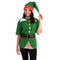 Buy Christmas Jolly Elf Kit - Unisex - Adult Standard sold at Party Expert