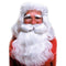 Buy Christmas Deluxe Santa Wig & Beard Set sold at Party Expert