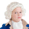 Buy Costume Accessories White colonial man wig for boys sold at Party Expert