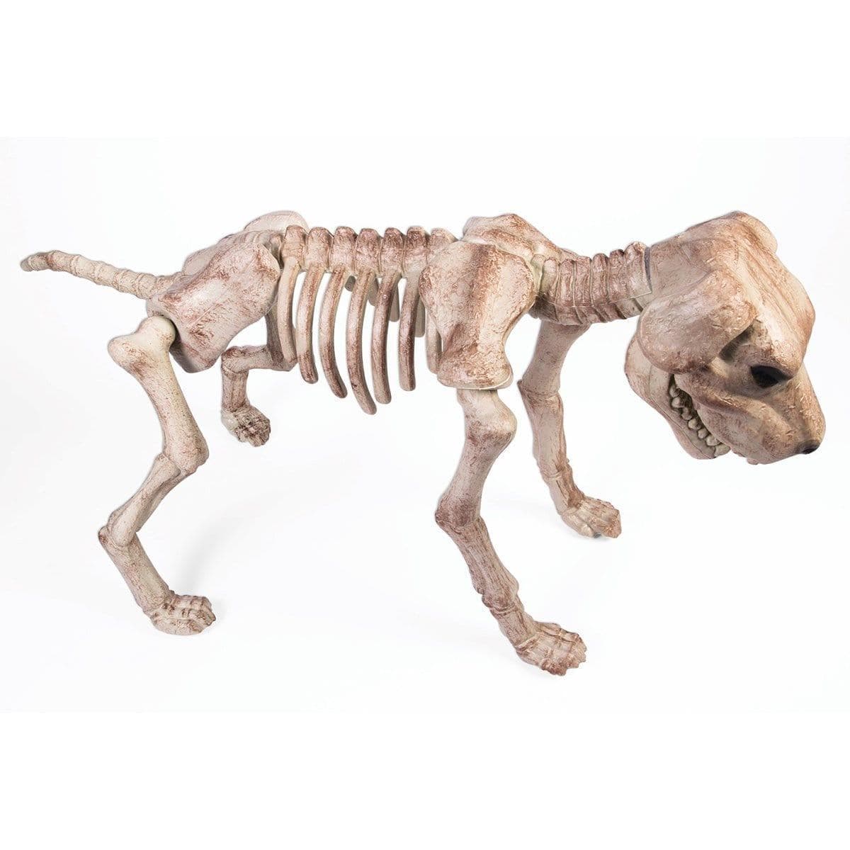 Buy Halloween Large dog skeleton sold at Party Expert