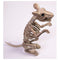 Buy Halloween Rat skeleton sold at Party Expert