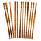 Buy Theme Party Bamboo Printed Paper Straws, 12 per Package sold at Party Expert