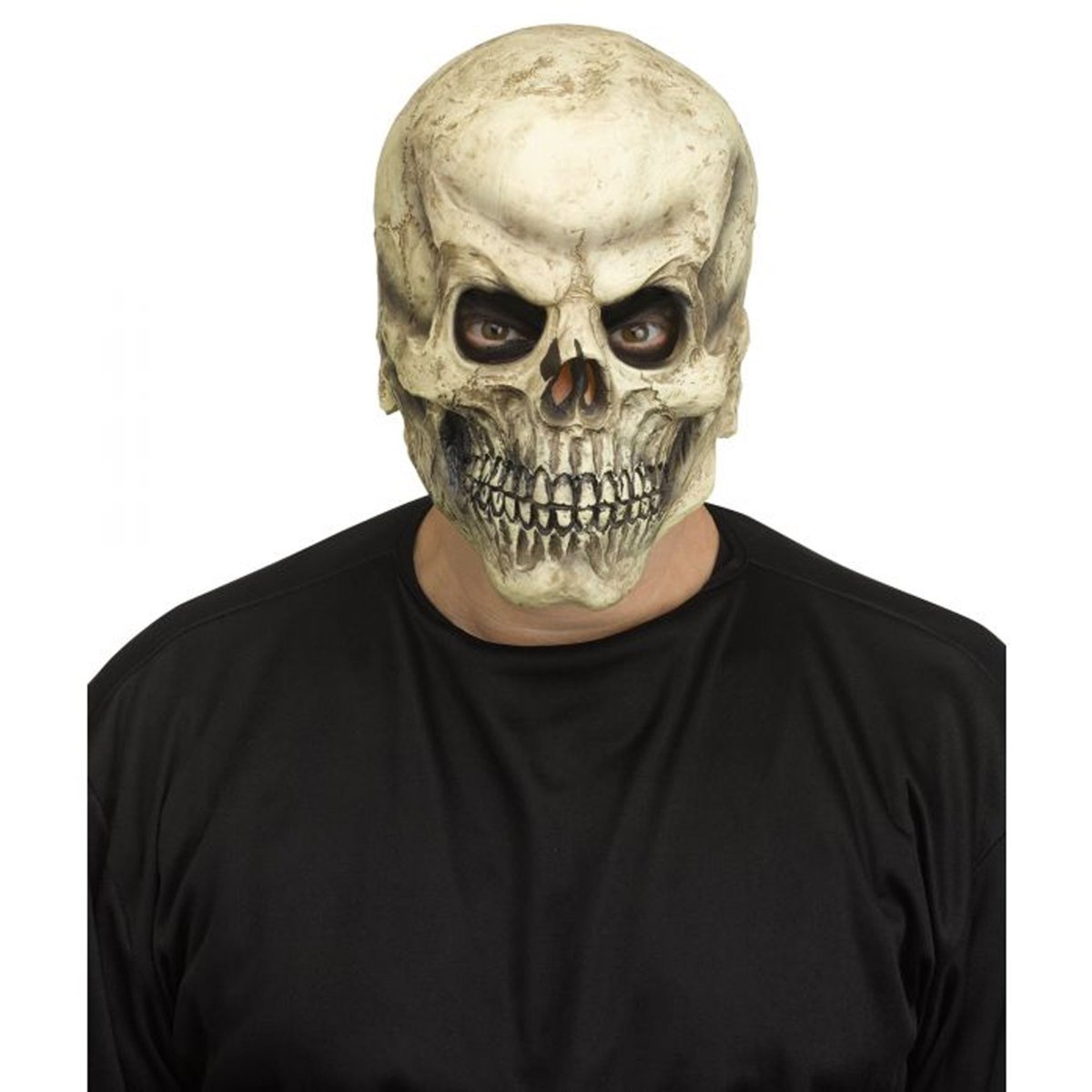 Realistic Skull Mask for Adults – Party Expert