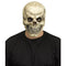 FUN WORLD Costume Accessories Realistic Skull Mask for Adults 071765067355