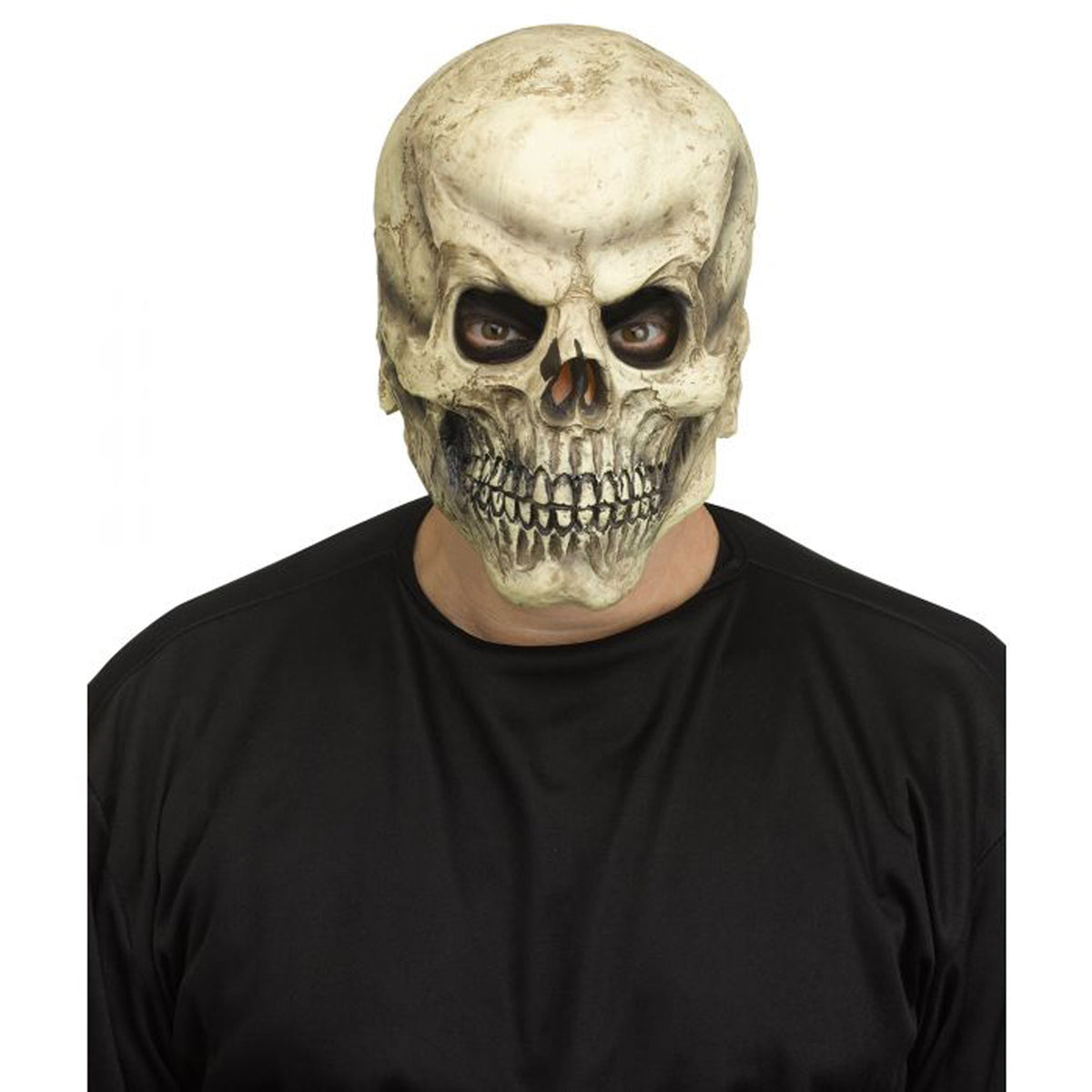 FUN WORLD Costume Accessories Realistic Skull Mask for Adults 071765067355