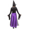 FUN WORLD Costumes Witch Costume for Adults, Purple and Black Dress