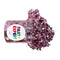FUZHOU CANGSHAN HAYLYAN ARTS & CRAFTS CO.,Ltd Balloons Shredded Confetti, Light Pink