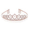 FUZHOU CANGSHAN HAYLYAN ARTS & CRAFTS CO.,Ltd Wedding Tiara, Rose Gold