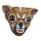 Buy Costume Accessories Chihuahua Mask sold at Party Expert