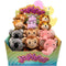GROUPE RICOCHET Impulse Buying Jellyroos Jungle Collectible Plush, Assortment, 1 Count 824464114574