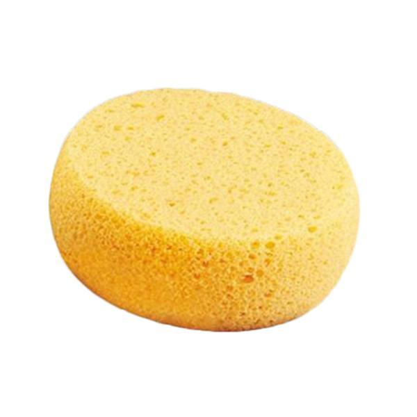 Buy Costume Accessories Foam hydra sponge applicator sold at Party Expert