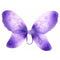 IVY TRADING INC. Costume Accessories Purple Butterfly Wings and Wand for Adults 8336572982126