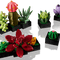 LEGO Toys & Games LEGO Icons Succulents, 10309, Ages 18+, 771 Pieces 673419361620