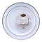Buy Plasticware Exquisite Plate 9 in. White with Silver Stripes 10/pkg sold at Party Expert