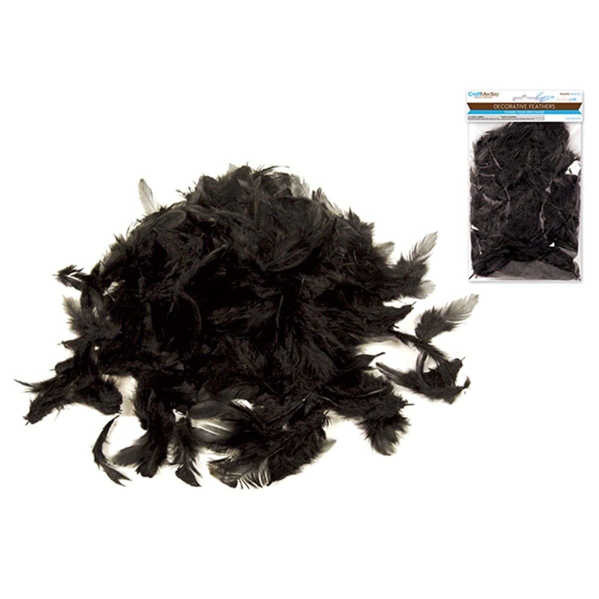 Buy Balloons Black Feather sold at Party Expert