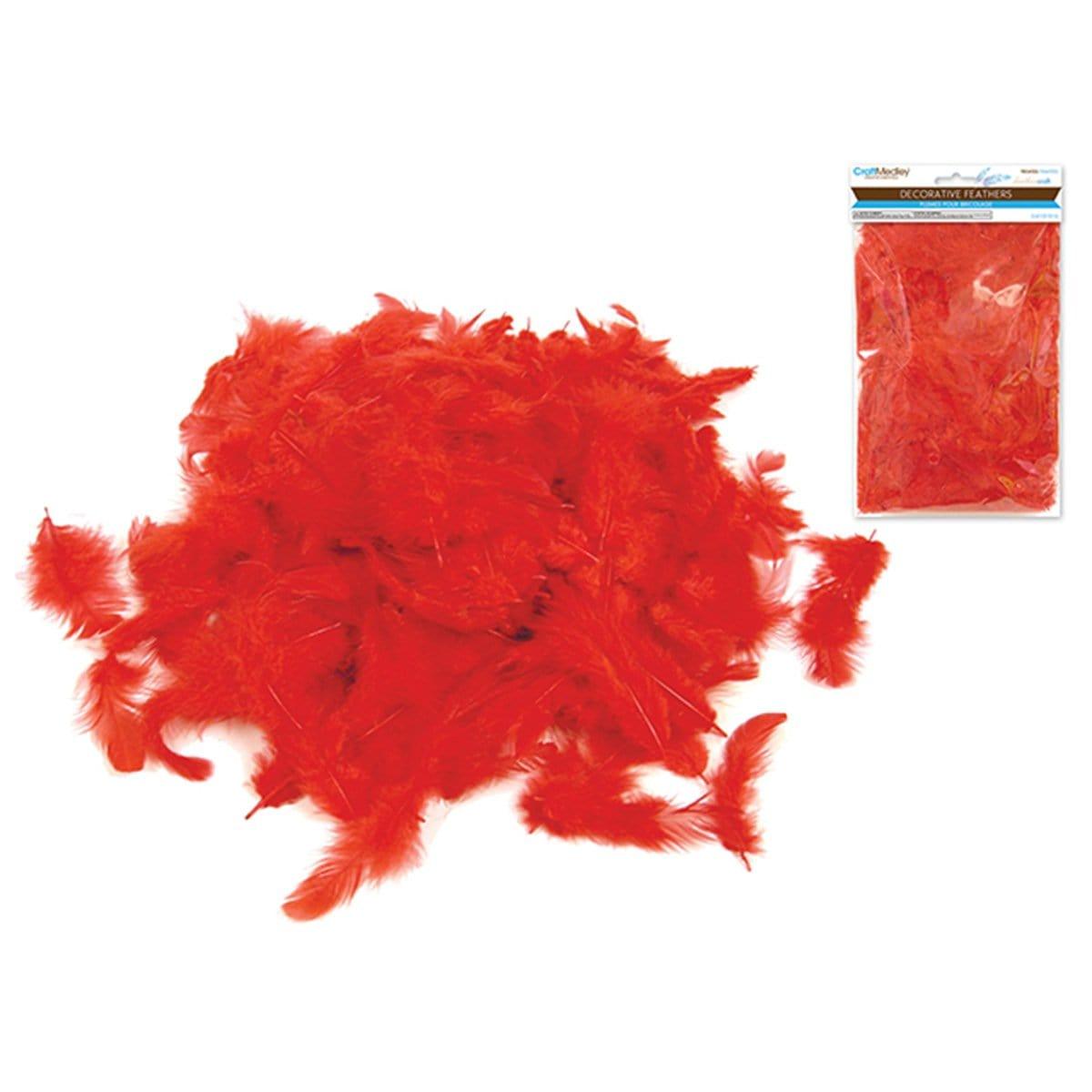 Buy Balloons Red Feather sold at Party Expert