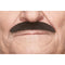 Buy Costume Accessories Black Monsieur mustache sold at Party Expert