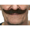 Buy Costume Accessories Black sophisticated mustache sold at Party Expert