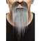 Buy Costume Accessories Grey long beard with mustache sold at Party Expert