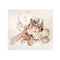 Buy Decorations Seashells Assortment 150 g sold at Party Expert
