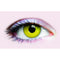 PRIMAL CONTACT LENSES Costume Accessories Raven Contact Lenses, 3 Month Usage 628153227992