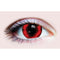 Buy Costume Accessories Reptilian contact lenses, 3 months usage sold at Party Expert
