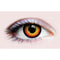 Buy Costume Accessories Werewolf II contact lenses, 3 months usage sold at Party Expert
