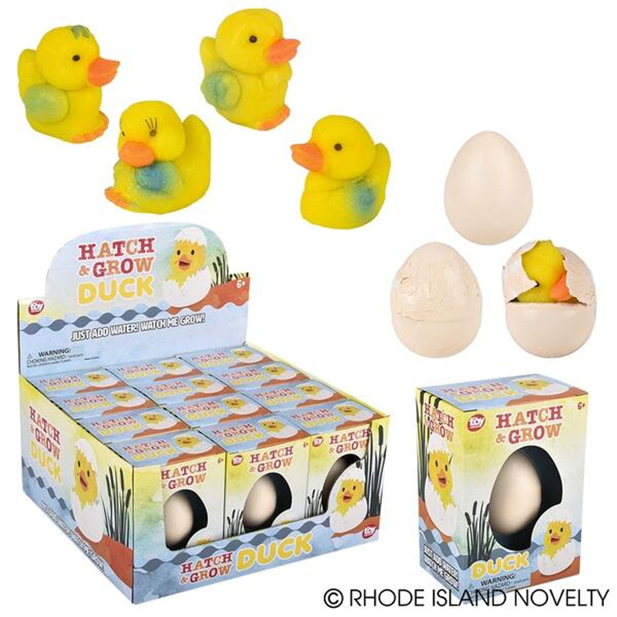RHODE ISLAND NOVELTY Easter Easter Small Hatch and Grow Duck Egg, Assortment, 1 Count