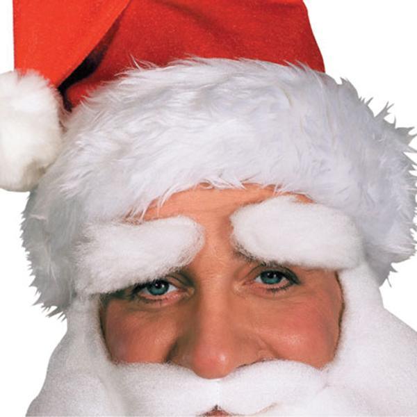 Buy Christmas Mohair Santa Eyebrows sold at Party Expert