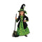 Buy Costumes Green Witch Costume for Toddlers sold at Party Expert