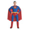 Buy Costumes Superman Costume for Adults, Superman sold at Party Expert