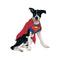 Buy Costumes Superman Costume for Dogs, Superman sold at Party Expert