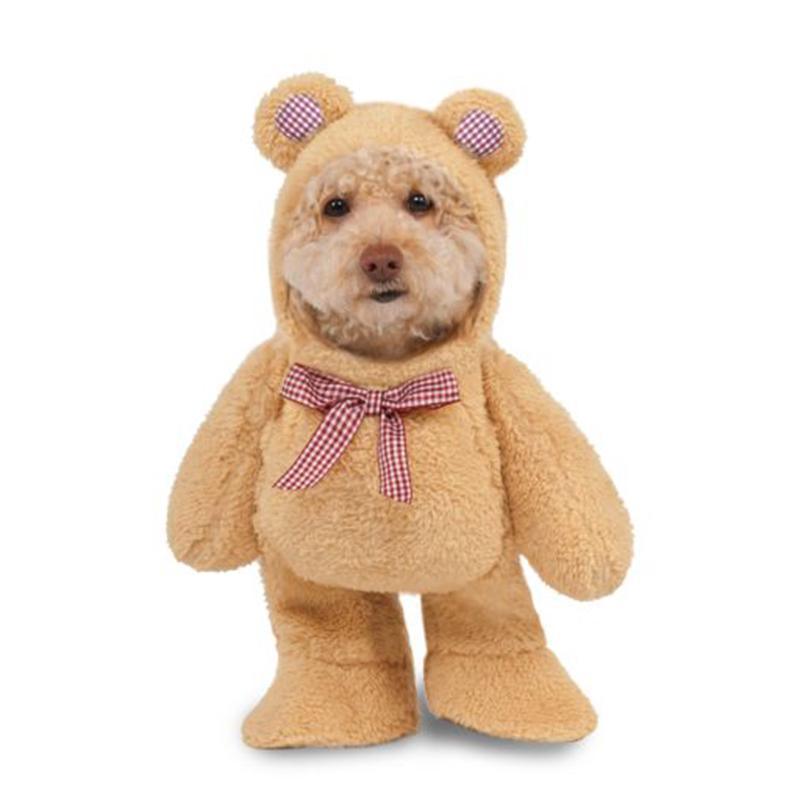 Buy Costumes Walking Teddy Bear Costume for Dogs sold at Party Expert