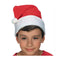 RUBIES II (Ruby Slipper Sales) Christmas Santa Hat 721773696565