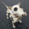 SEASONS HK USA INC Halloween Digger the Skeleton dog 190842816911